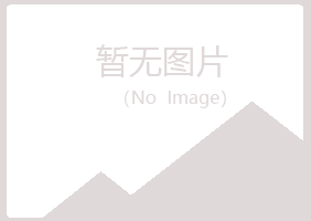 阳泉夏岚培训有限公司